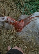 twd0615-2919.jpg