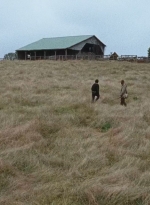 twd0615-2927.jpg
