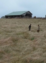 twd0615-2928.jpg