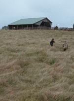 twd0615-2931.jpg