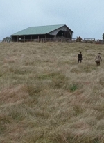 twd0615-2935.jpg