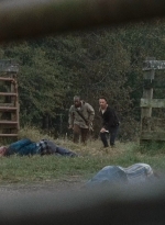 twd0615-2942.jpg
