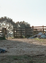 twd0615-2956.jpg