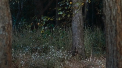 twd0616-0013.jpg