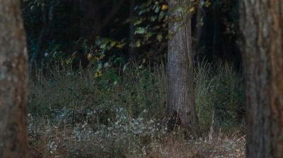 twd0616-0014.jpg