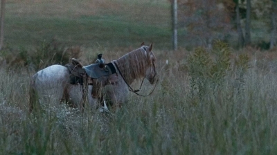 twd0616-0043.jpg