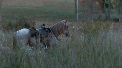 twd0616-0048.jpg