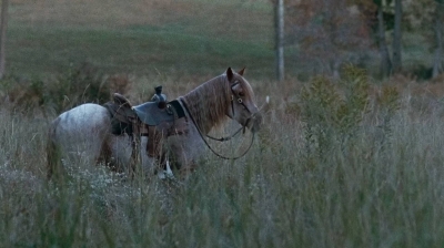 twd0616-0056.jpg