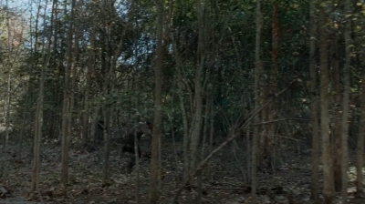 twd0616-0162.jpg