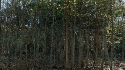 twd0616-0163.jpg
