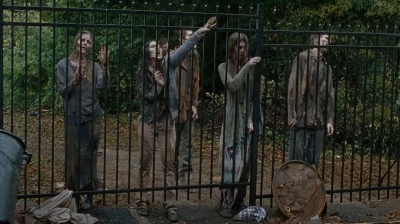 twd0616-2096.jpg