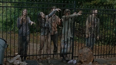 twd0616-2098.jpg