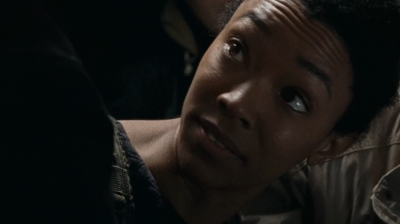 twd0616-2591.jpg