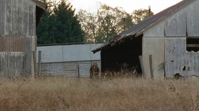 twd0616-2745.jpg