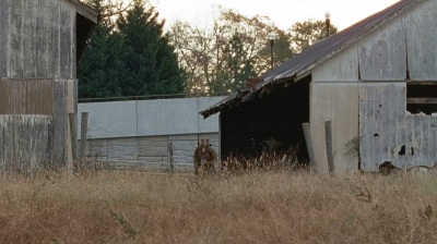 twd0616-2746.jpg