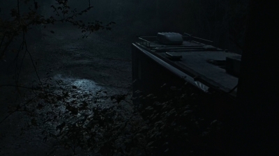 twd0616-3916.jpg