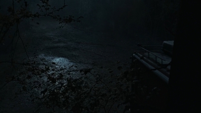 twd0616-3919.jpg