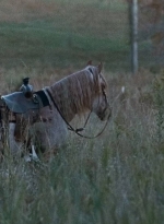 twd0616-0050.jpg