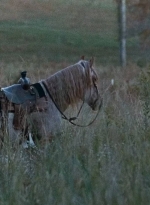 twd0616-0051.jpg
