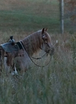 twd0616-0055.jpg