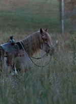 twd0616-0056.jpg