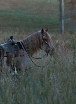 twd0616-0057.jpg
