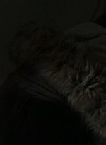 twd0616-0370.jpg
