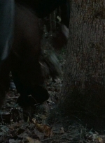 twd0616-0378.jpg