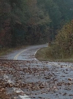 twd0616-0736.jpg