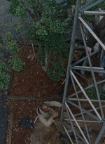 twd0616-2134.jpg
