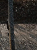 twd0616-2413.jpg