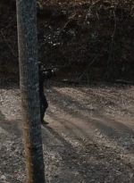 twd0616-2414.jpg