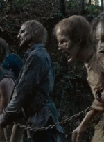 twd0616-2431.jpg