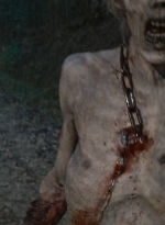 twd0616-2438.jpg
