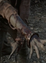 twd0616-2486.jpg