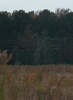 twd0616-2555.jpg