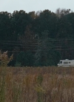 twd0616-2559.jpg