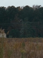 twd0616-2561.jpg