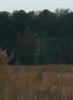 twd0616-2562.jpg