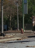 twd0616-2689.jpg