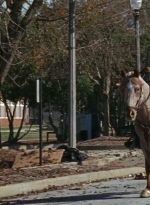 twd0616-2691.jpg