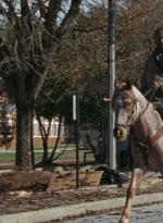 twd0616-2692.jpg
