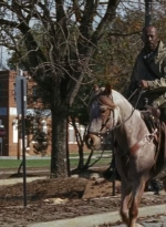 twd0616-2693.jpg