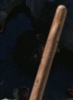 twd0616-2707.jpg