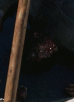 twd0616-2708.jpg