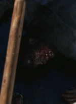 twd0616-2710.jpg