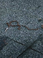twd0616-2724.jpg