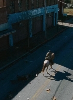 twd0616-2733.jpg