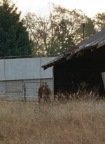 twd0616-2746.jpg