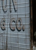 twd0616-2788.jpg